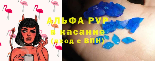 стафф Аркадак