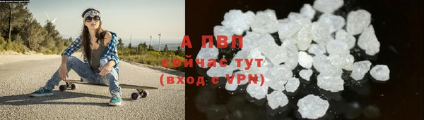 стафф Аркадак