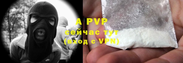 стафф Аркадак