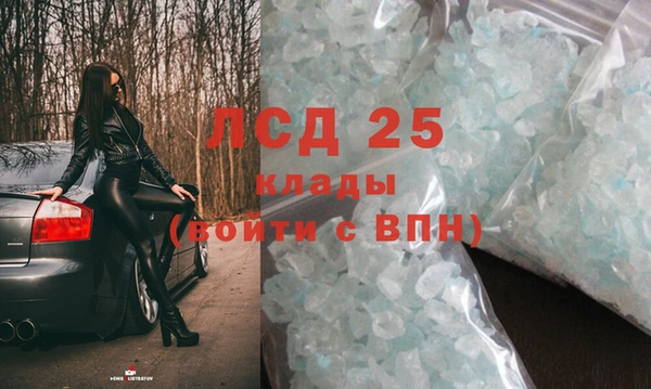 стафф Аркадак