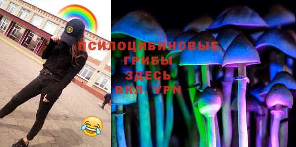 spice Протвино