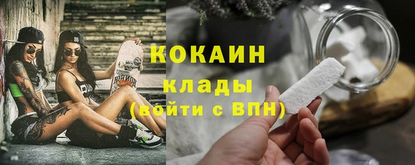 ГАЛЛЮЦИНОГЕННЫЕ ГРИБЫ Арсеньев