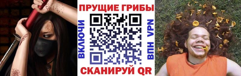 Псилоцибиновые грибы Magic Shrooms  купить   Аткарск 