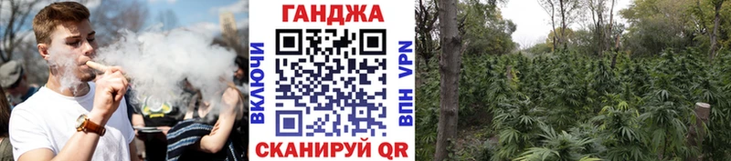 Конопля марихуана  OMG рабочий сайт  Аткарск  даркнет сайт 